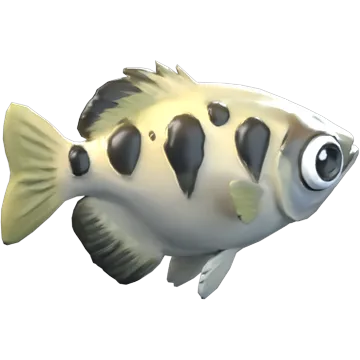 Archerfish