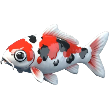 Koi