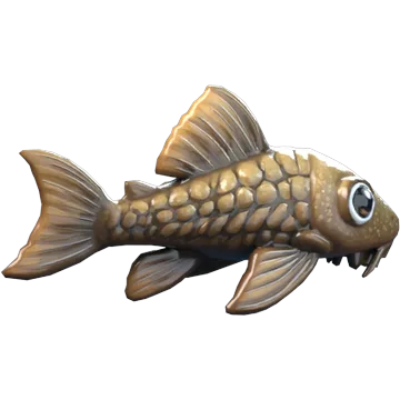 Pleco
